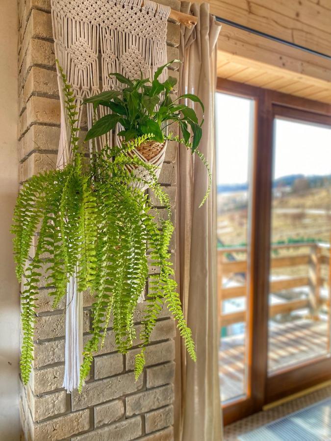 Dziejba Lesna Apartamenty &Spa - Piekne I Nowe Apartamenty I Domek, Sauna I Jacuzzi - W Cenie I Na Wylacznosc, 1 Km Od Stoku Jaworki Exteriör bild