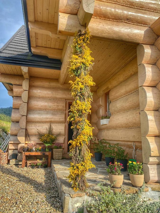 Dziejba Lesna Apartamenty &Spa - Piekne I Nowe Apartamenty I Domek, Sauna I Jacuzzi - W Cenie I Na Wylacznosc, 1 Km Od Stoku Jaworki Exteriör bild