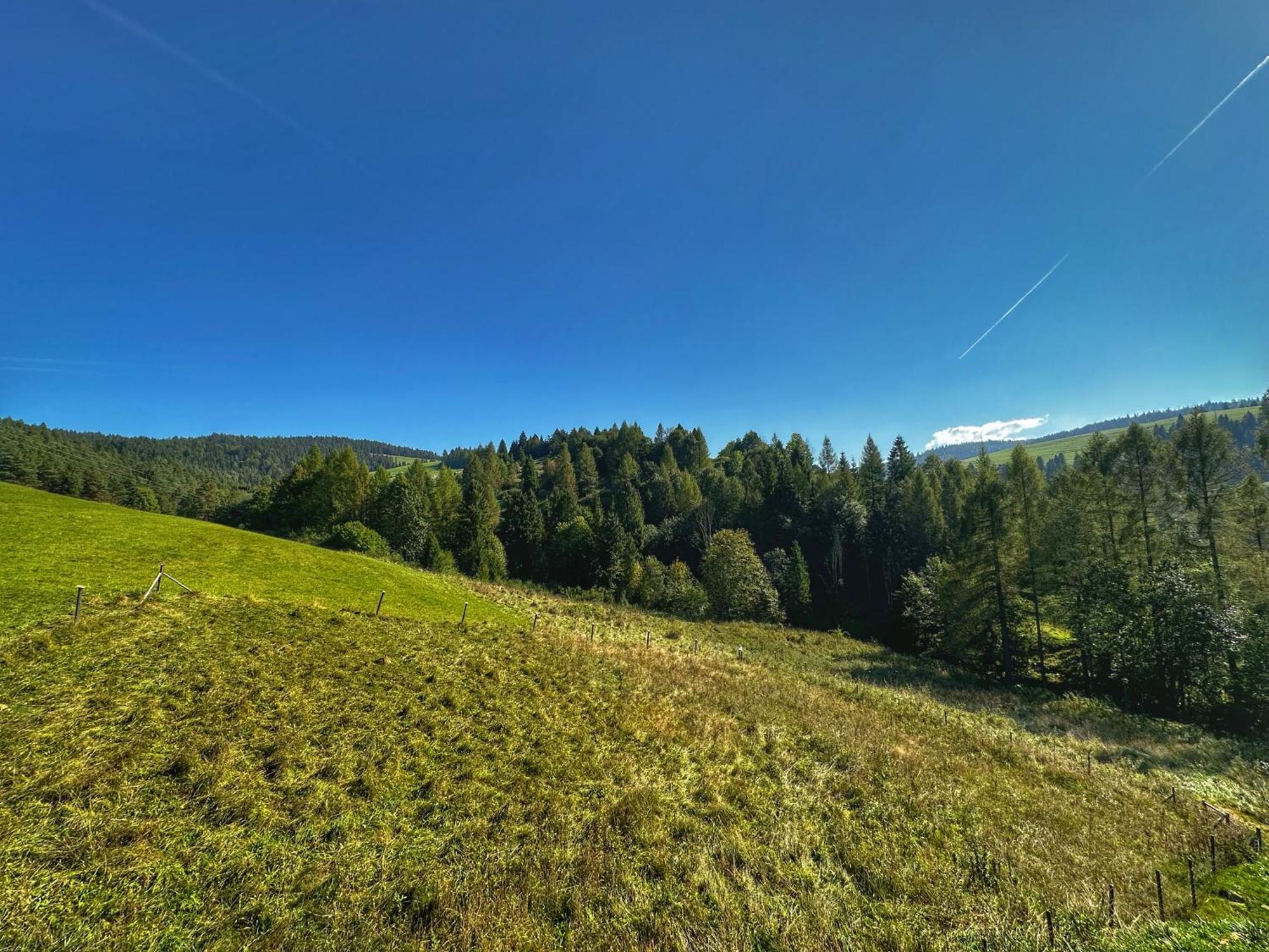 Dziejba Lesna Apartamenty &Spa - Piekne I Nowe Apartamenty I Domek, Sauna I Jacuzzi - W Cenie I Na Wylacznosc, 1 Km Od Stoku Jaworki Rum bild